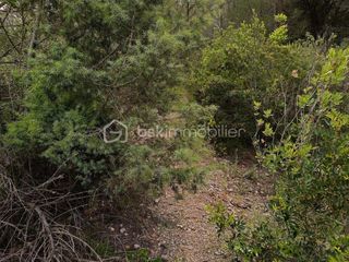  Terrain � vendre 12490 m�