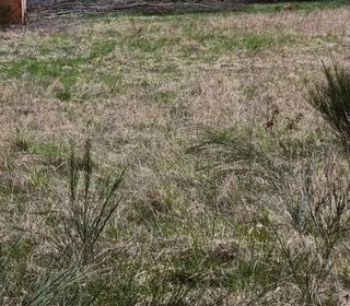  Terrain � vendre 1467 m�