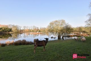  Terrain � vendre 41945 m�