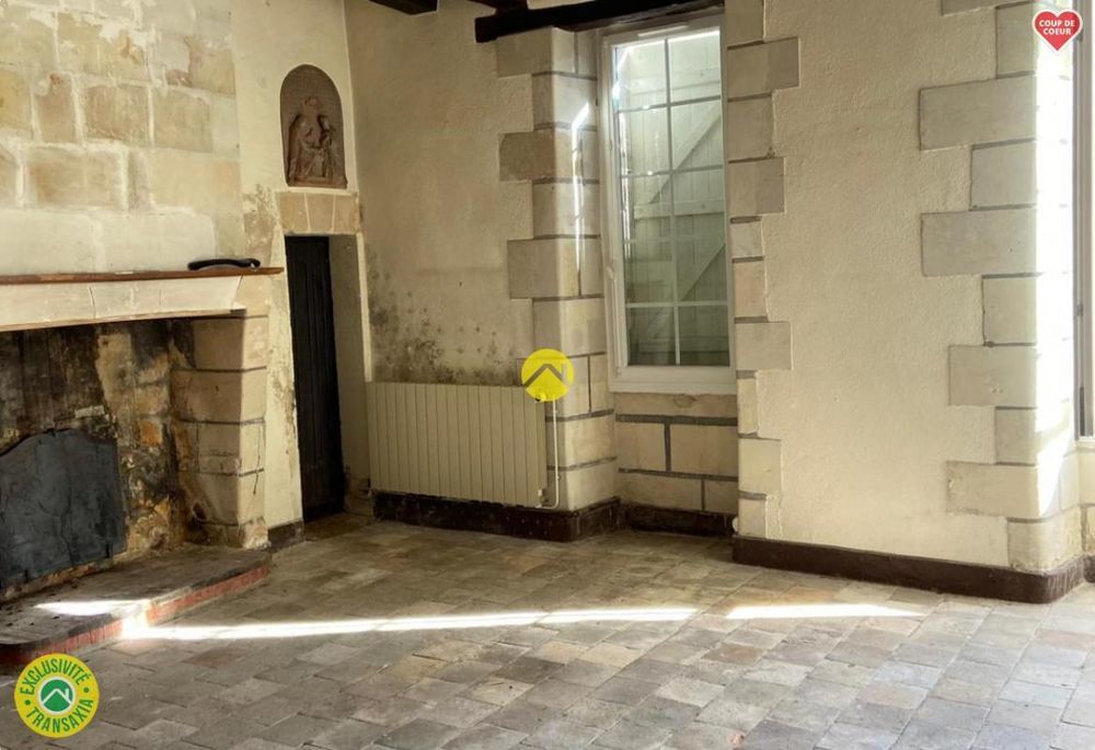 � vendre  Propri�t�/ch�teau Tours (37000)