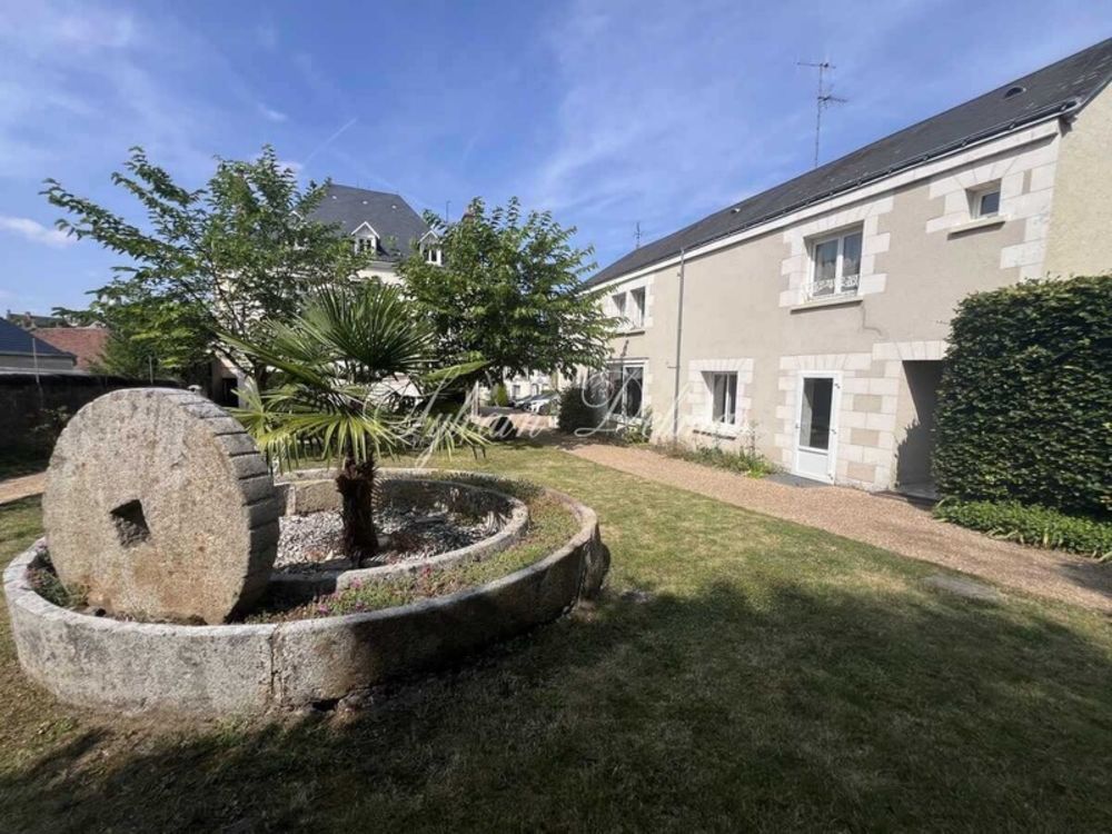 � vendre  Propri�t�/ch�teau Amboise (37400)