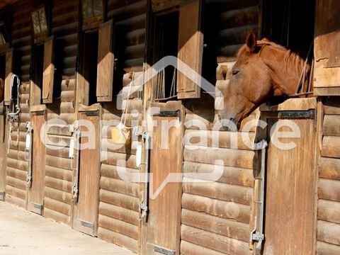 GARD(30) &Agrave; VENDRE Fonds de Commerce de Promenade &agrave; Cheval &agrave; proximit&eacute; de la mer en petite Camargue 10 000 m 2 495000 30240 Le grau du roi
