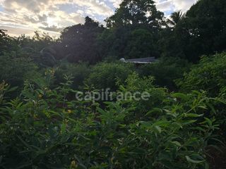  Terrain � vendre 1043 m�