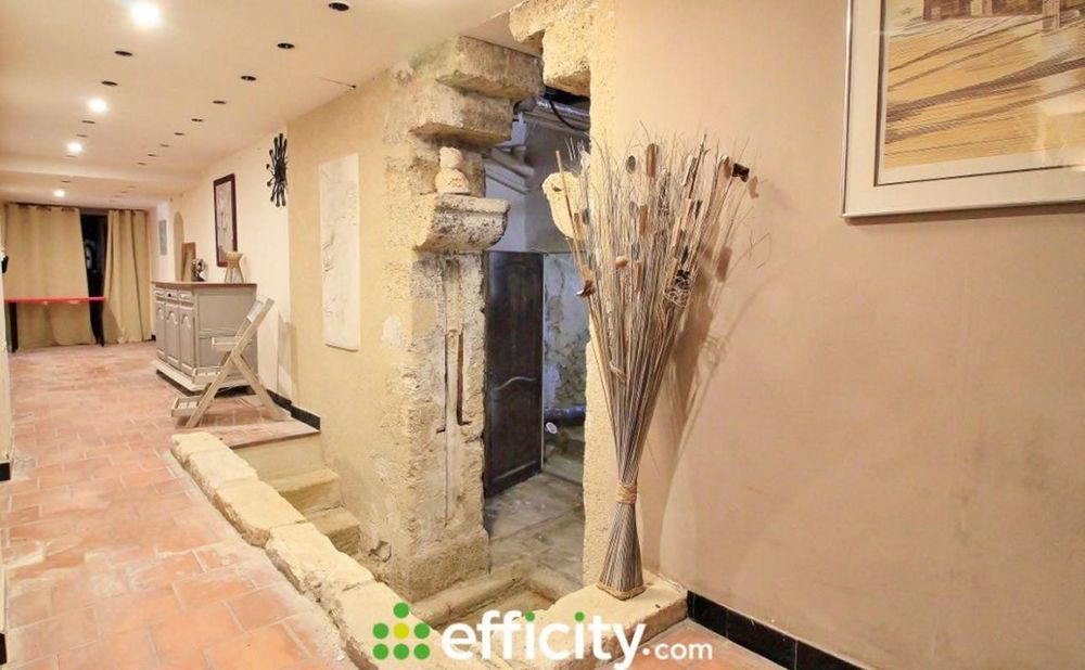 � vendre  Propri�t�/ch�teau Entraigues-sur-la-Sorgue (84320)