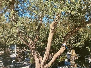  Maison � vendre 5 pi�ces 124 m�