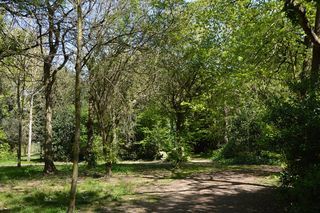  Appartement � vendre 3 pi�ces 53 m�