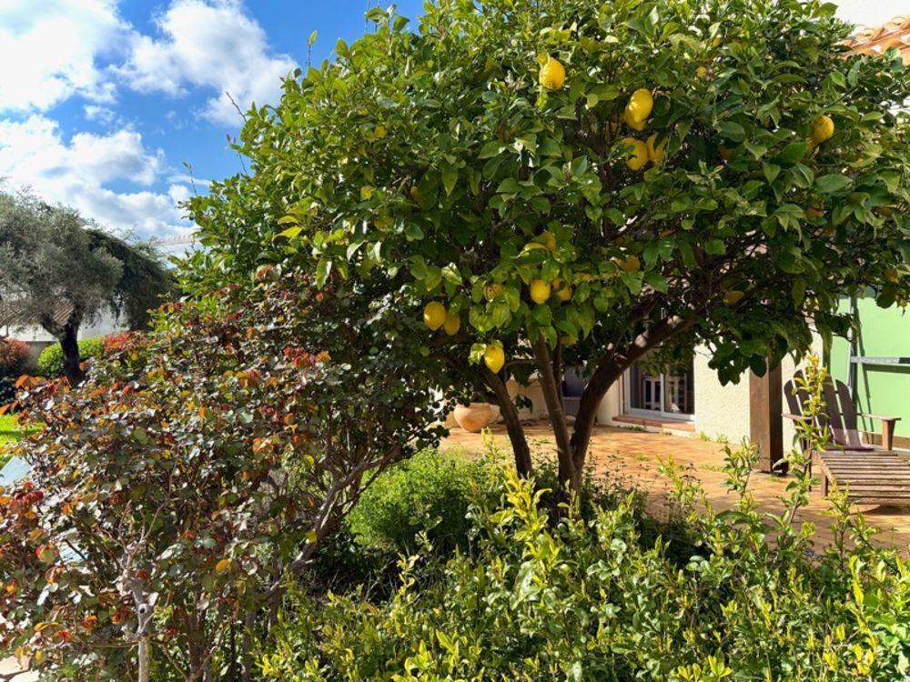 � vendre  Maison Narbonne (11100)