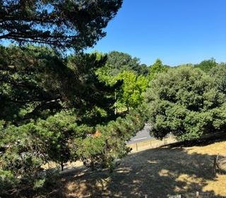  Appartement � vendre 4 pi�ces 84 m�