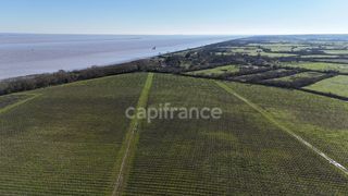  Propri�t�/ch�teau � vendre 12 pi�ces 1357 m�