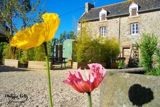  Maison � vendre 15 + pi�ces 366 m�