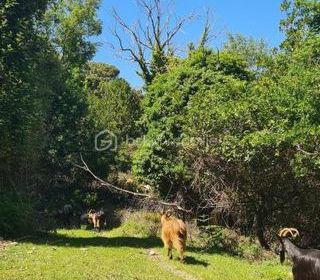  Maison � vendre 4 pi�ces 87 m�