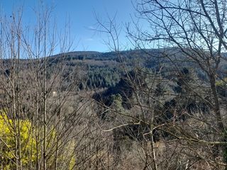  Maison � louer 3 pi�ces 105 m�