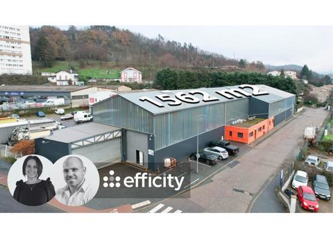 Local industriel/Entrep&ocirc;t 990000 42700 Firminy