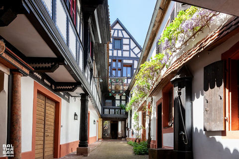   Dpt Bas-Rhin (67), viager � vendre BOERSCH propriete P15 de 480 m� Maison - 15 + pi�ce(s) - 480 m�