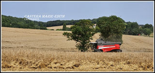  Propri�t�/ch�teau � vendre 1 pi�ce 860 m�