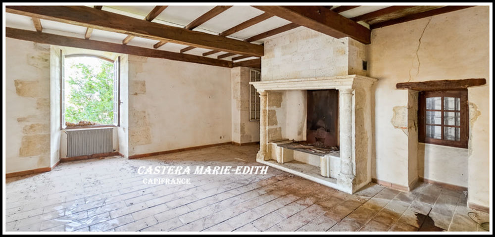 � vendre  Propri�t�/ch�teau Auch (32000)