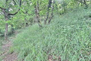  Terrain � vendre 978 m�