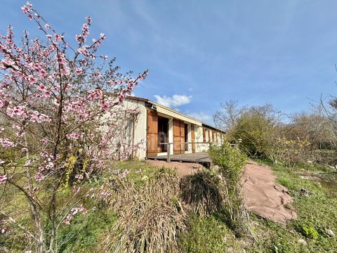   MAISON PLAIN-PIED DE 135 M2, TERRAIN ARBOR� DE 5 675 M2, 4 CHAMBRES, D�PENDANCES, VUE D�GAG�E, FIBRE, TF 547�, PUITS, MARE, FOUR Maison - 7 pi�ce(s) - 135 m�