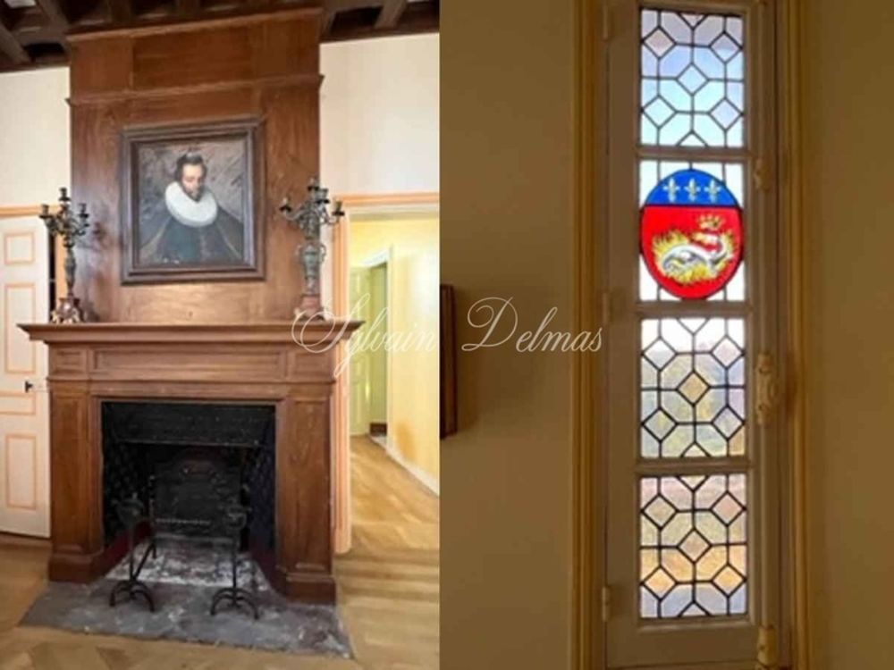 � vendre  Propri�t�/ch�teau Amboise (37400)