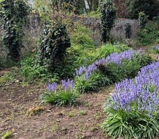  Terrain � vendre 477 m�