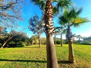  Appartement � vendre 1 pi�ce 28 m�