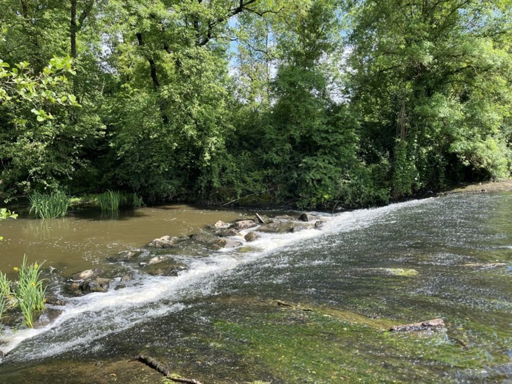 � vendre  Propri�t�/ch�teau Rocheservi�re (85620)