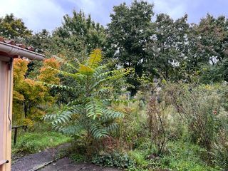  Appartement � vendre 4 pi�ces 75 m�