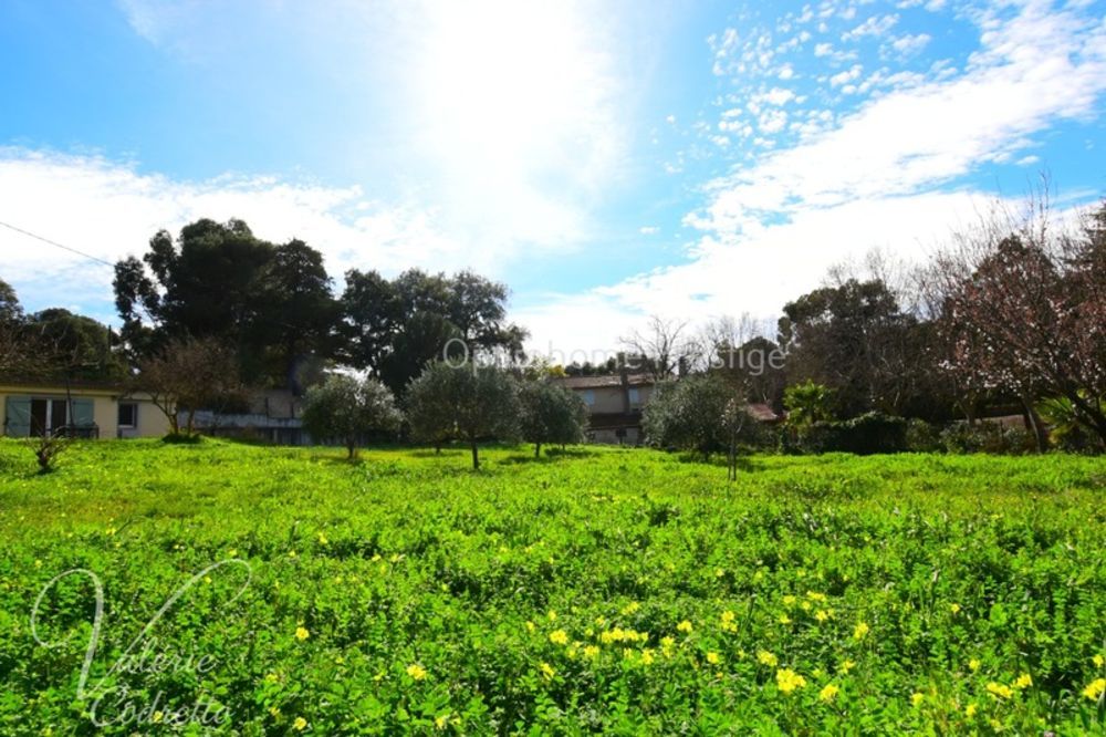 � vendre  Villa Le Pradet (83220)