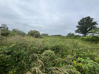  Terrain � vendre 15260 m�