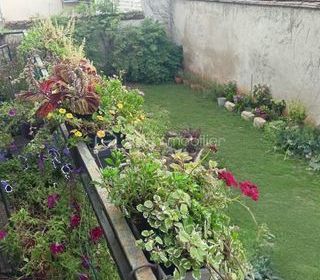  Maison � vendre 8 pi�ces 260 m�