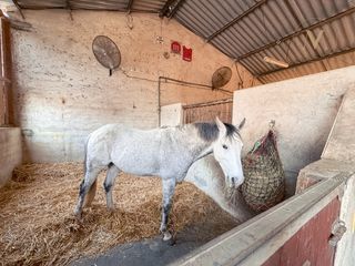  Propri�t�/ch�teau � vendre 15 + pi�ces 485 m�