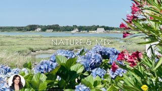  Maison � vendre 7 pi�ces 107 m�