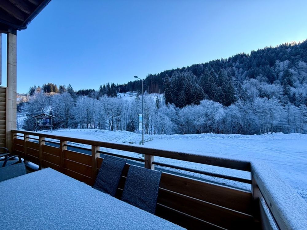 � vendre  Appartement Les Gets (74260)