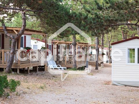 GARD (30) ALES (30100) 30 mn Vente Murs et Fonds de Commerce de Camping saisonnier en Bord de Rivi&egrave;re de 2 hectares 1650000 30100 Ales