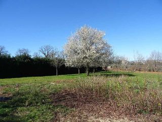  Terrain � vendre 2370 m�