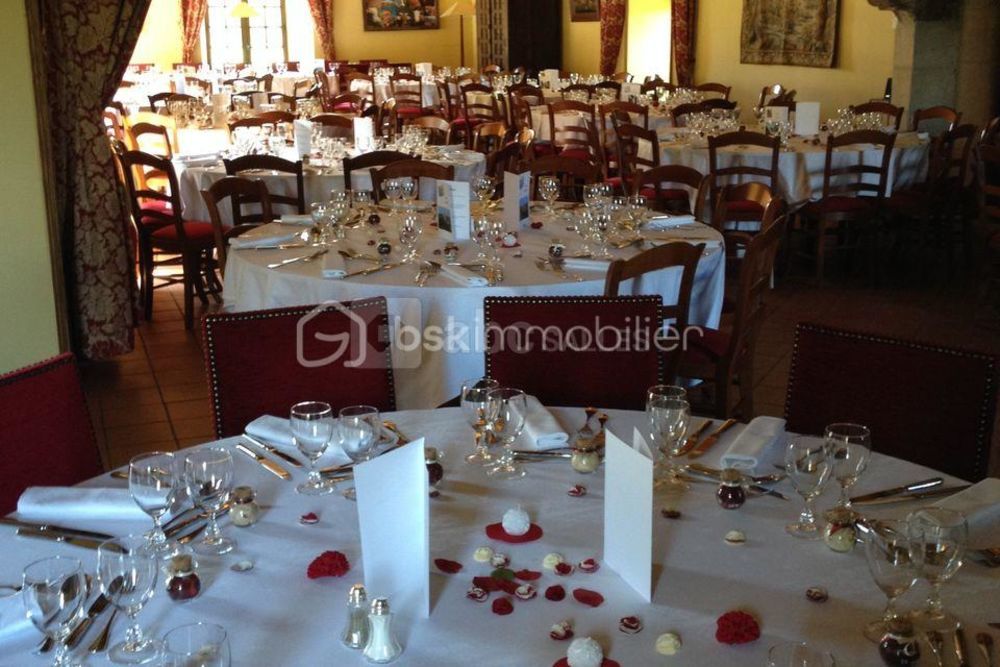 � vendre  Propri�t�/ch�teau Saint-Flour (15100)