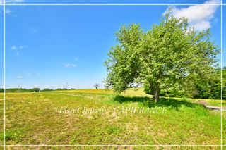  Propri�t�/ch�teau � vendre 8 pi�ces 244 m�