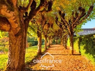  Propri�t�/ch�teau � vendre 12 pi�ces 304 m�