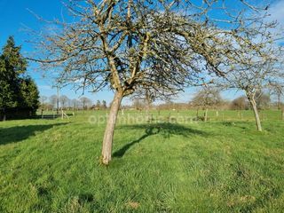  Maison � vendre 1 pi�ce 75 m�