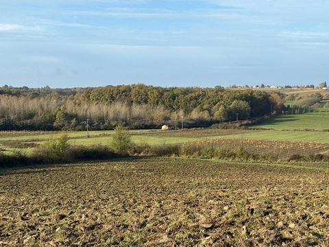 Terres d'Exception : domaine forestier, vignes et p&acirc;turages au coeur des coteaux de l'Entre-Deux-Mers 55000 33540 Castelviel