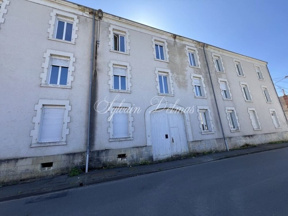 � vendre  Propri�t�/ch�teau Vierzon (18100)