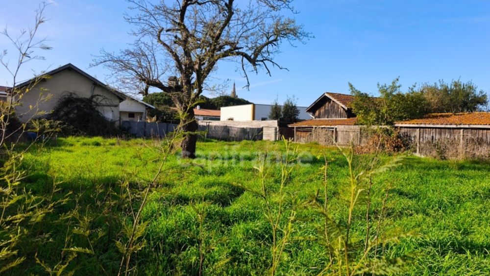 � vendre  Maison Le Teich (33470)