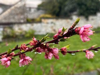  Maison � vendre 4 pi�ces 67 m�