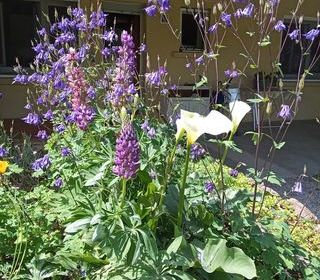  Maison � vendre 6 pi�ces 150 m�