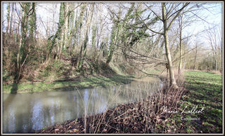  Maison � vendre 12 pi�ces 343 m�