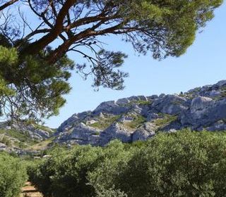  Propri�t�/ch�teau � vendre 11 pi�ces 800 m�