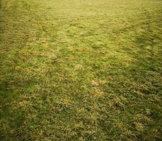  Terrain � vendre 1052 m�