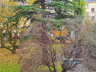  Appartement � vendre 4 pi�ces 80 m�