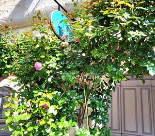  Immeuble � vendre 300 m�