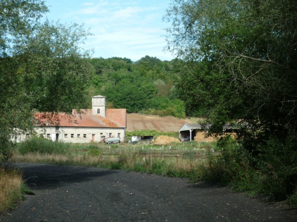 � vendre  Propri�t�/ch�teau Coucy-le-Ch�teau-Auffrique (02380)